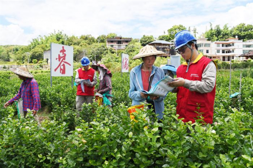 国网福州供电公司：深化“阳光业扩”平台应用 助力企业数字化转型